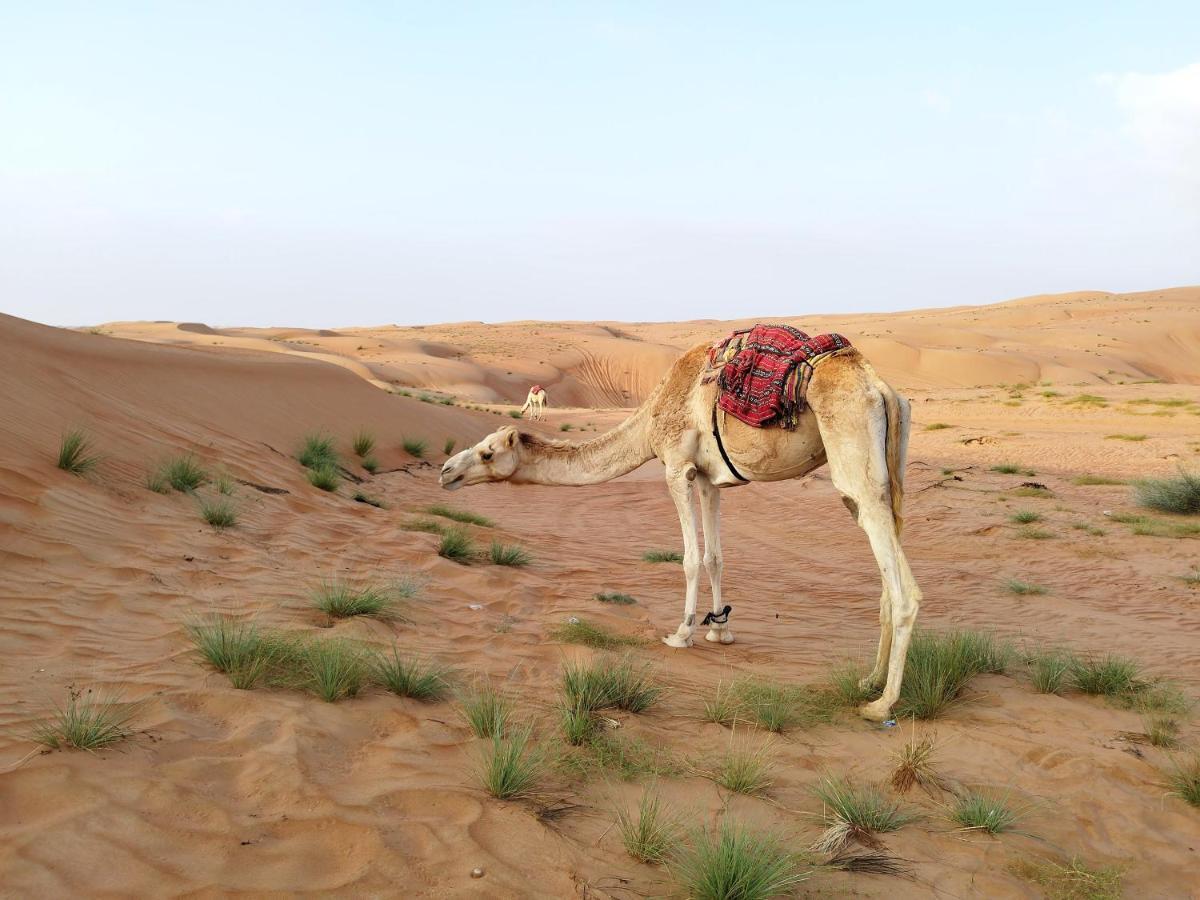 Sands Dream Tourism Camp Shāhiq Екстериор снимка